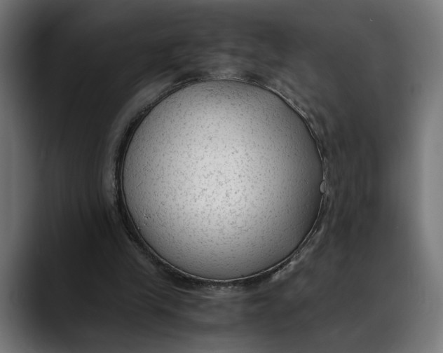 X0000088910245200707061350