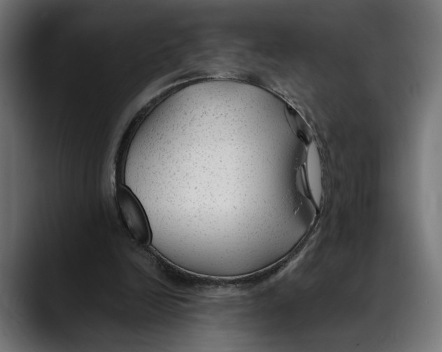 X0000088910246200707061350