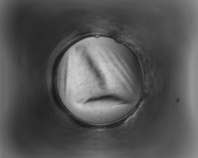 X0000088910247200707061350