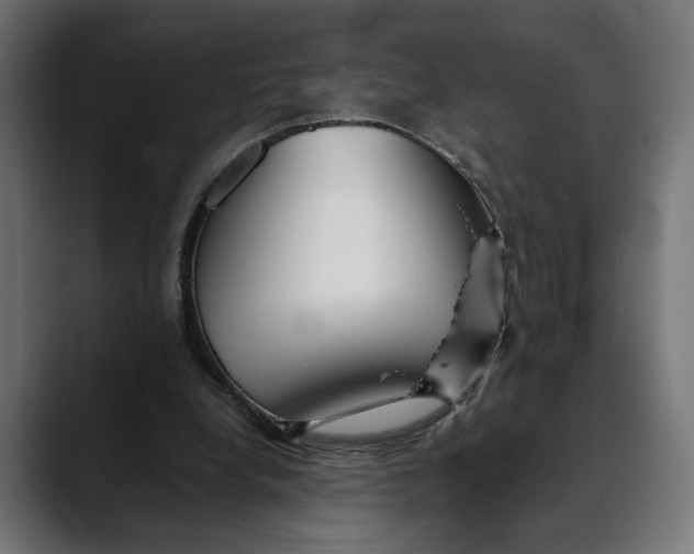 X0000088910248200707061350