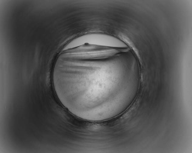 X0000088910249200707061350