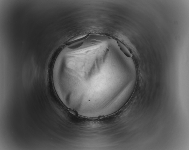 X0000088910250200707061350