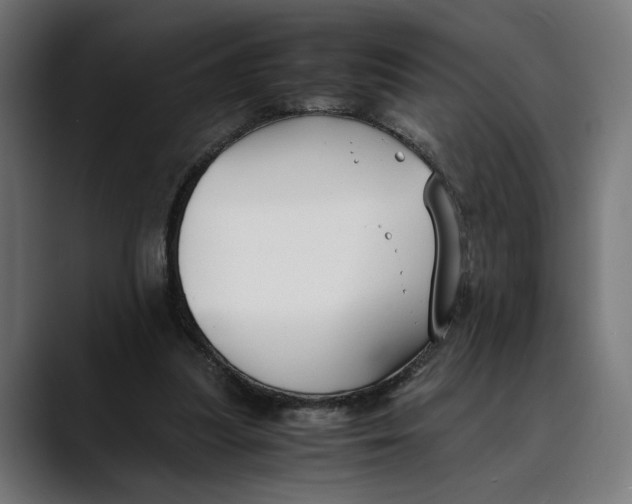 X0000088910251200707061350