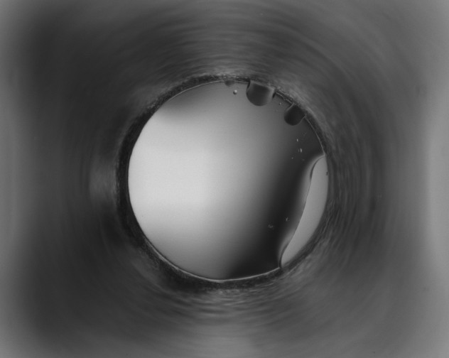 X0000088910252200707061350