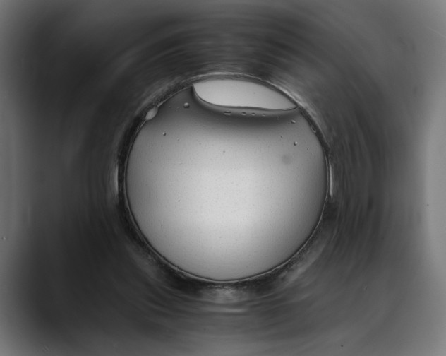 X0000088910253200707061350