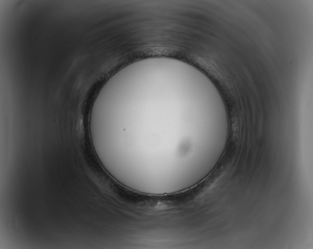 X0000088910254200707061350