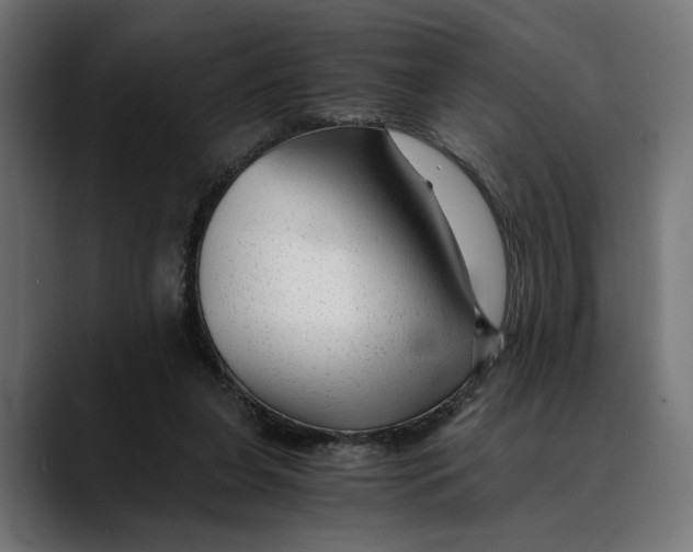 X0000088910255200707061350