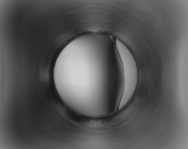 X0000088910256200707061350