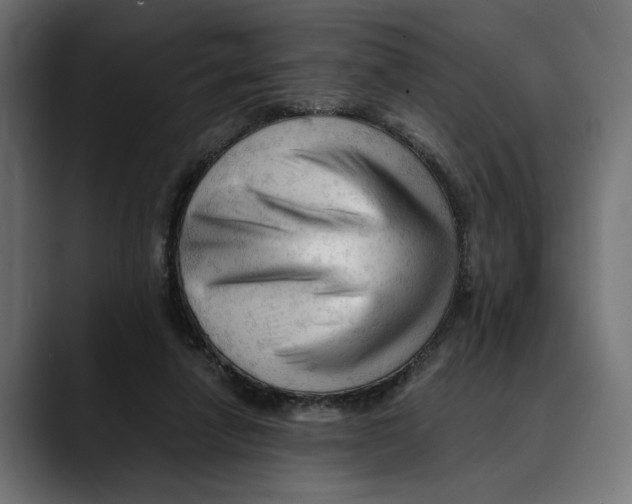 X0000088910258200707061350