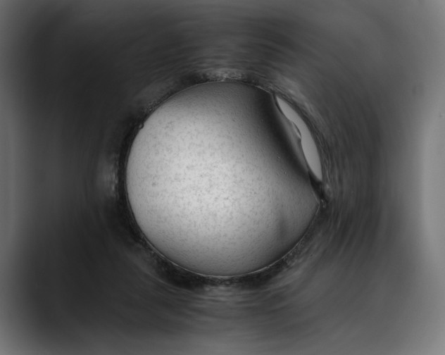 X0000088910259200707061350