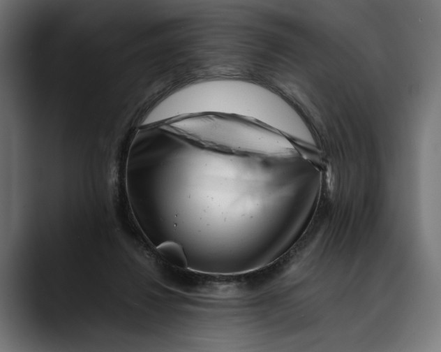 X0000088910260200707061350