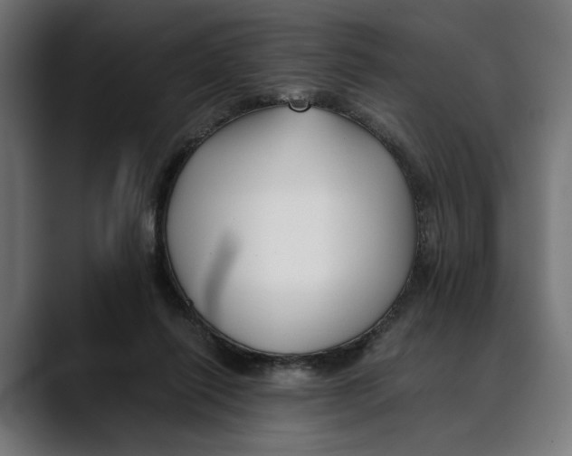 X0000088910262200707061350