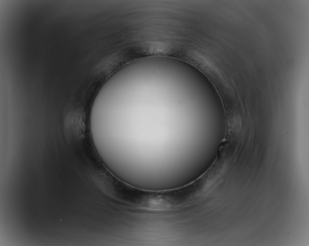 X0000088910264200707061350