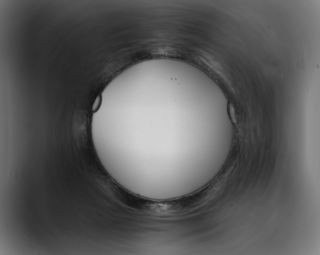 X0000088910265200707061350