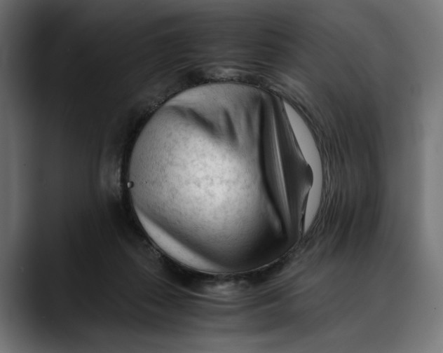 X0000088910267200707061351