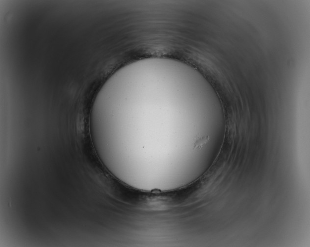 X0000088910268200707061351