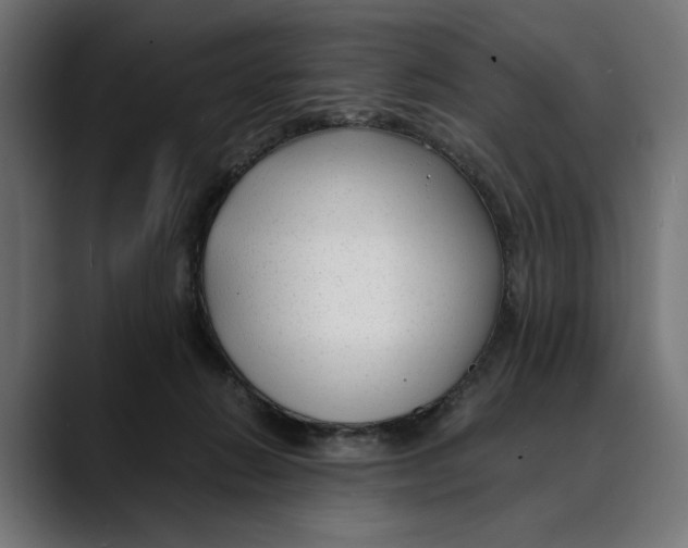 X0000088910270200707061351