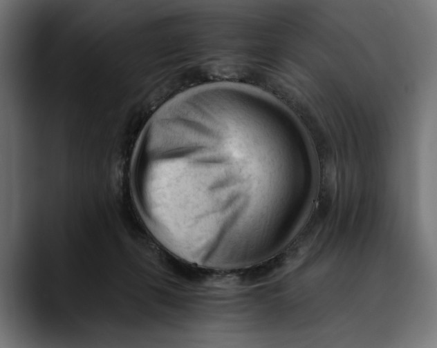 X0000088910271200707061351