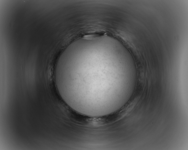 X0000088910273200707061351