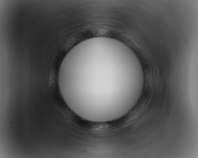 X0000088910274200707061351