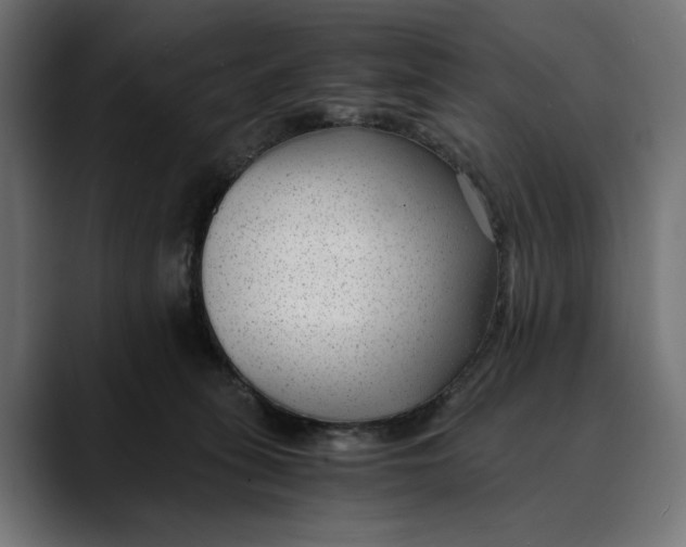 X0000088910275200707061351