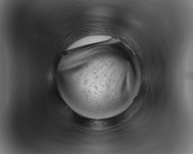 X0000088910277200707061351