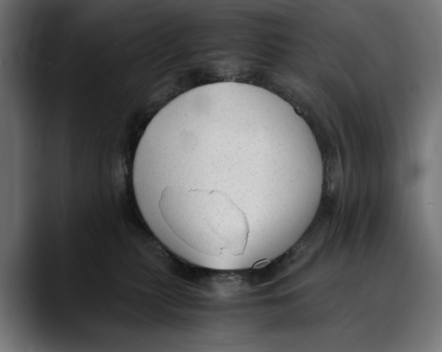 X0000088910279200707061351