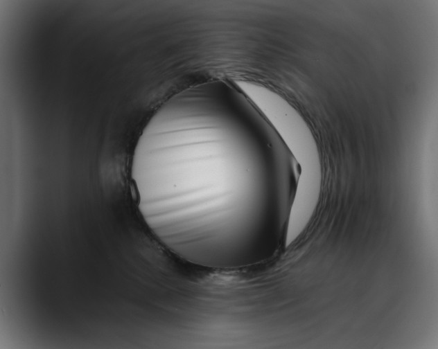 X0000088910280200707061351