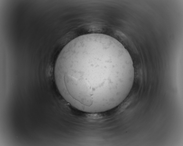 X0000088910281200707061351