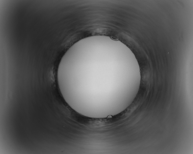 X0000088910282200707061351