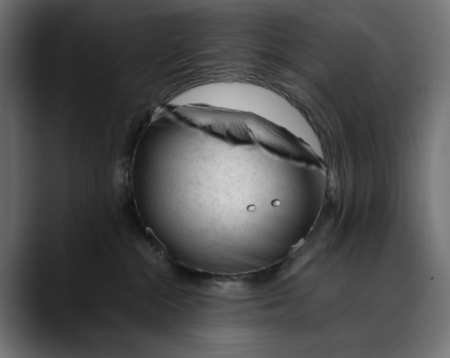 X0000088910284200707061351