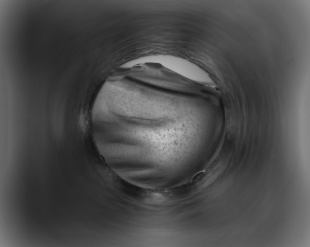 X0000088910285200707061351