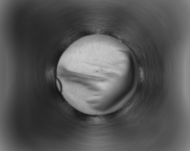 X0000088910286200707061351