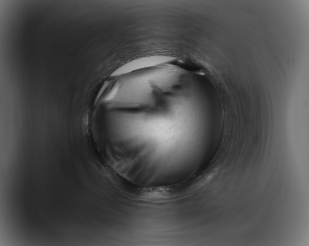 X0000088910288200707061351