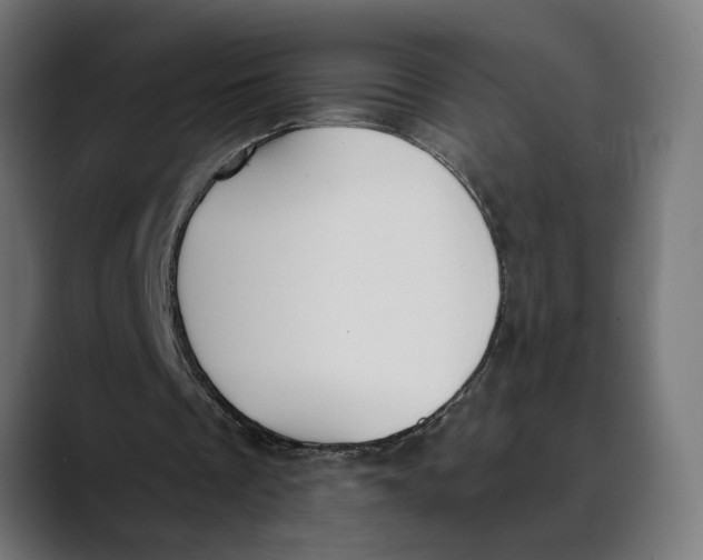 X0000088910289200707061350