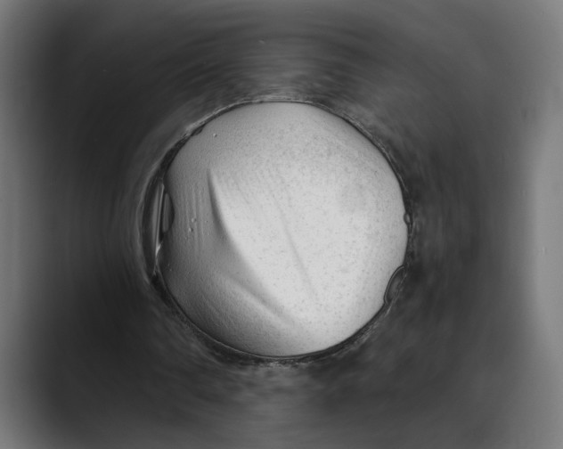 X0000088910290200707061350