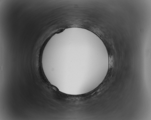 X0000088910291200707061350