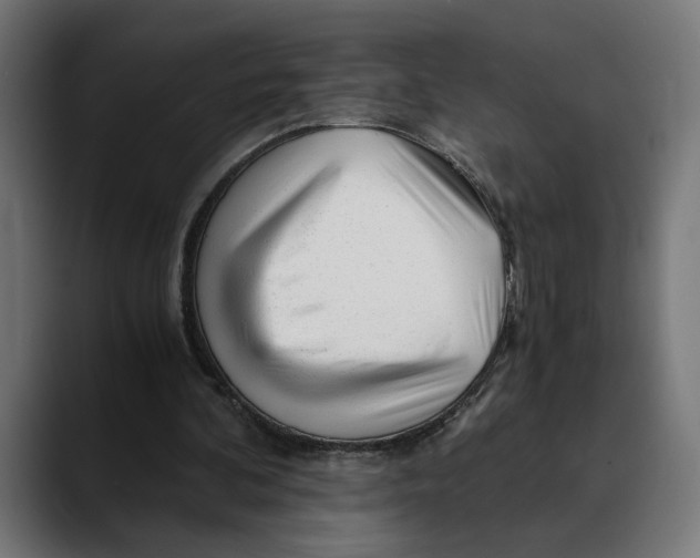 X0000088910292200707061350