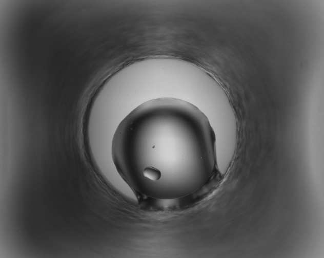 X0000088910293200707061350