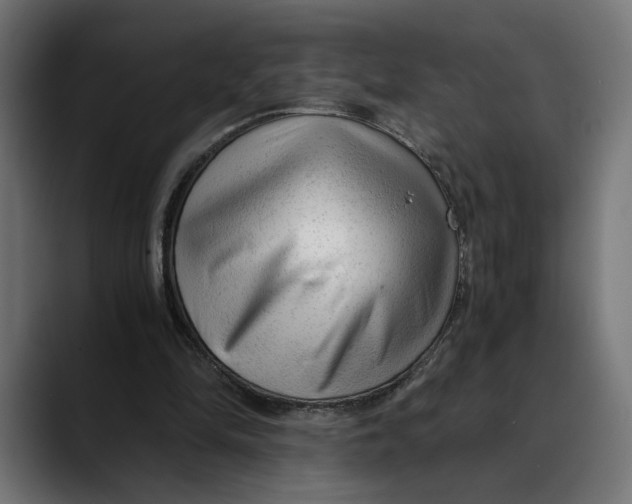 X0000088910294200707061350