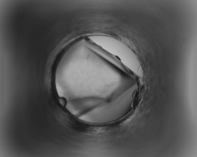 X0000088910295200707061350