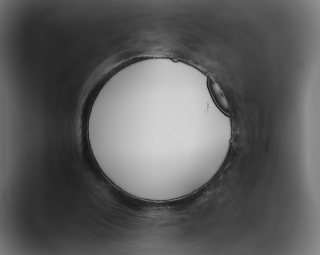 X0000088910296200707061350