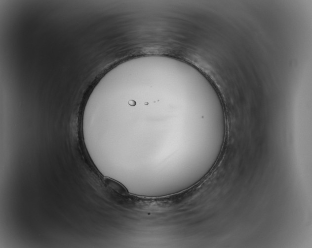 X0000088910297200707061350