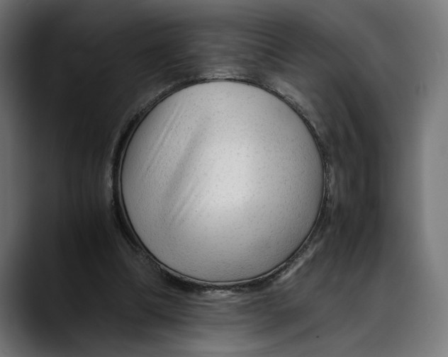 X0000088910298200707061350