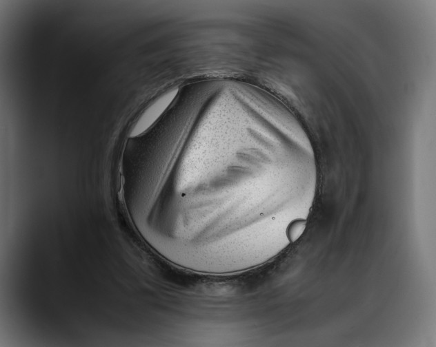 X0000088910299200707061350