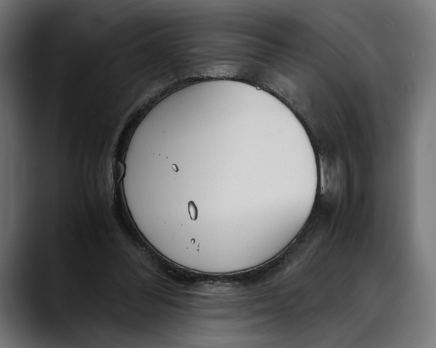 X0000088910300200707061350