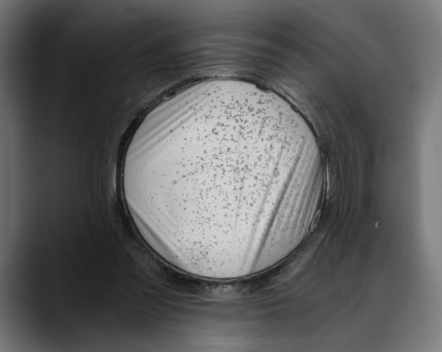 X0000088910301200707061350