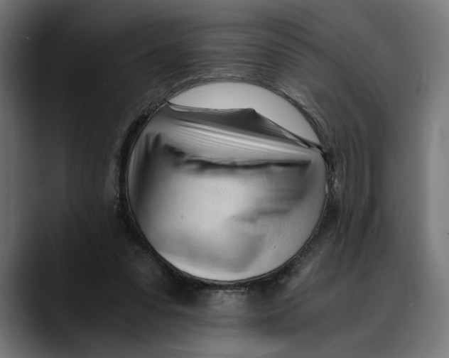 X0000088910303200707061350