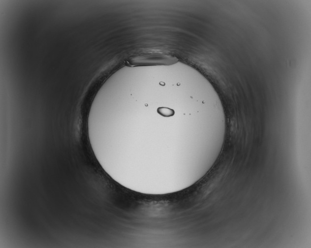 X0000088910304200707061350