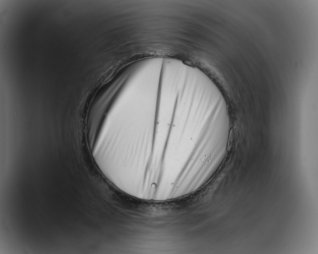 X0000088910305200707061350